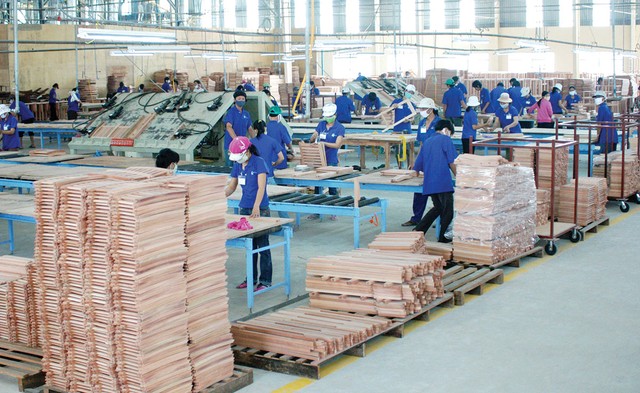 Vietnam Wood Products under EUDR